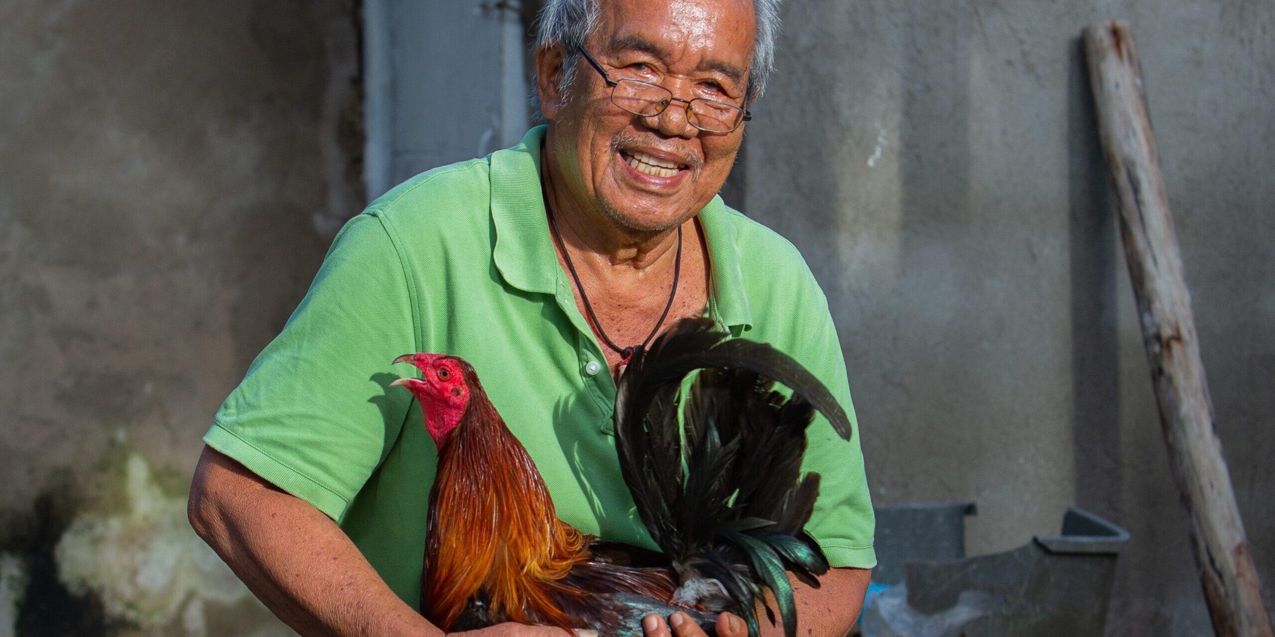 Narisco_ja_kuldne_kukk